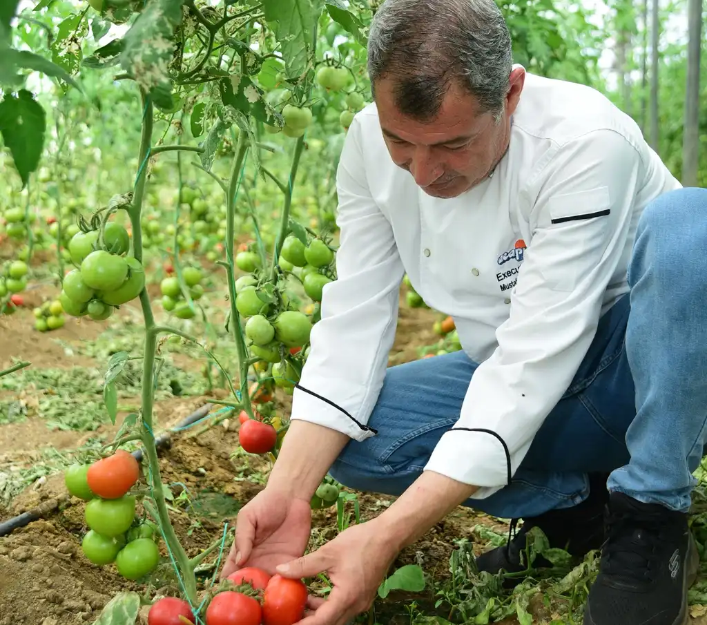 Tarsan Çiftliği